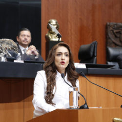 Se requiere una reforma de todo un paquete de leyes para hacer eficiente la Ley de Victimas: Iris Vianey Mendoza.