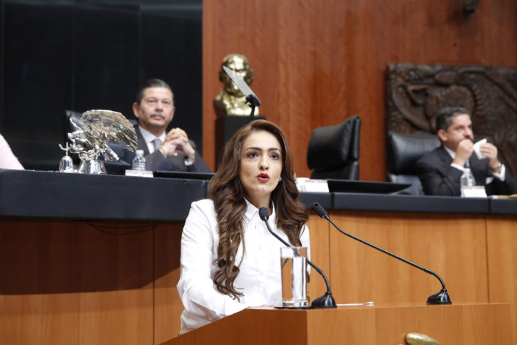 Se requiere una reforma de todo un paquete de leyes para hacer eficiente la Ley de Victimas: Iris Vianey Mendoza.