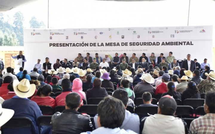 Desde la Mesa de Seguridad Ambiental se protegen bosques y selvas de Michoacán