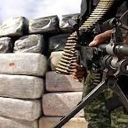 La Sedena decomisó droga y armas en el mes de septiembre