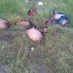 Tiran cuerpo descuartizado en Atimapa, la mañana de este domingo