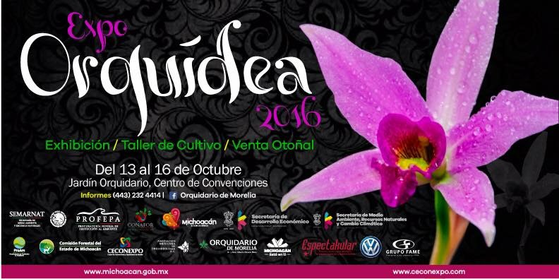 Mañana inicia la Expo Orquídea en el Ceconexpo.