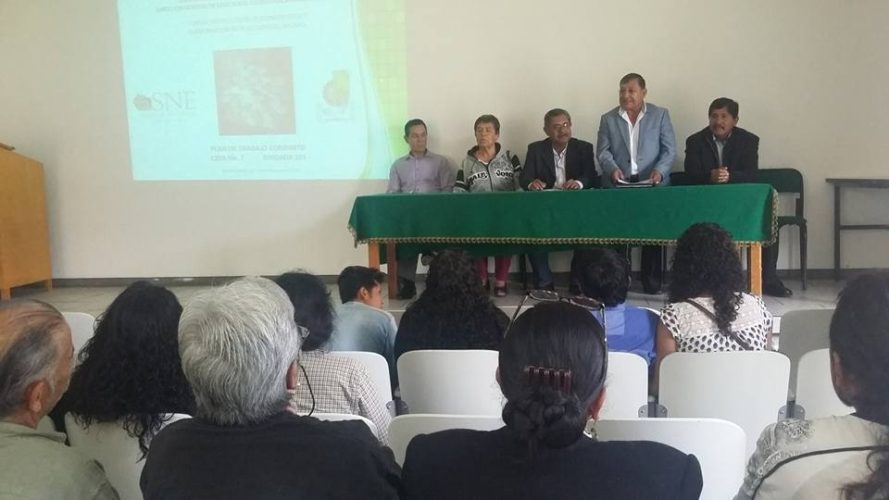 Sedrua y CBTA 7 capacitan en producción de hongos setas.