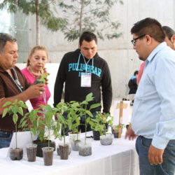 DIF Michoacán imparte taller para instalación de huertos escolares