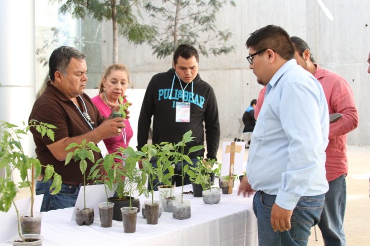 DIF Michoacán imparte taller para instalación de huertos escolares