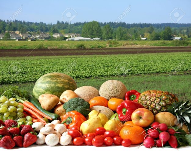 Productos de calidad del campo michoacano, a la Kermés del DIF: Sedrua