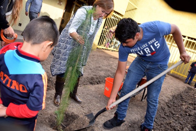 Instalan hortaliza en casa hogar “Vivan los Niños”
