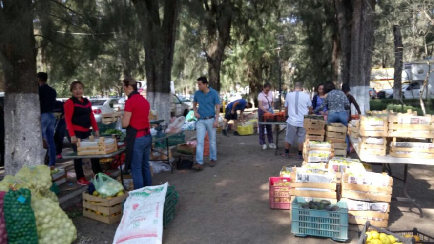 Inicia venta de productos del campo en la Kermés del DIF: Sedrua