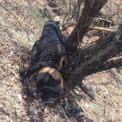 Identifican a los dos asesinados en el municipio de Múgica