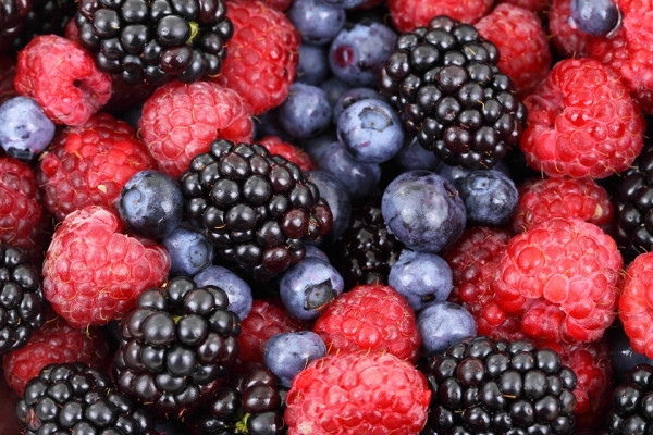 Sedrua, por incrementar exportación de agroproductos a Canadá
