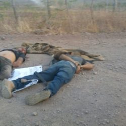 Encuentran dos cuerpos