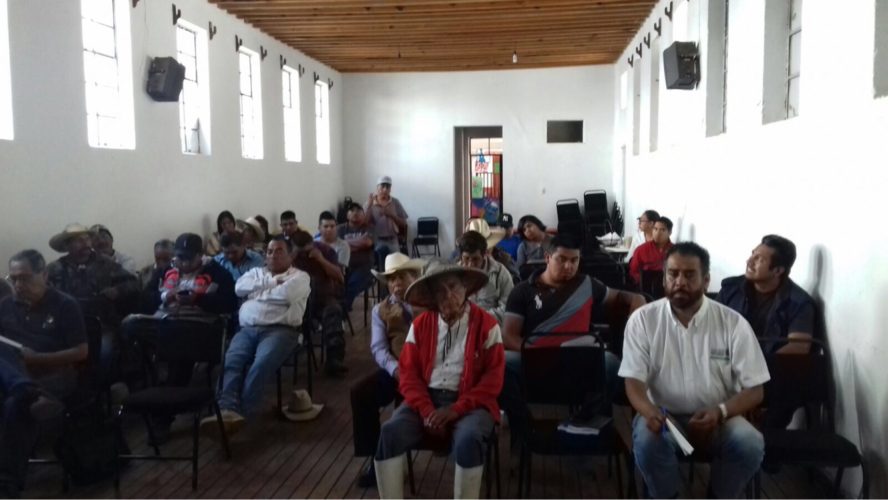 Productores de Paracho recibirán 70 toneladas de semilla de avena: Sedrua