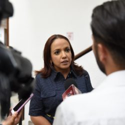 Implementación deficiente de Alerta de Género deja en riesgo la vida de las michoacanas: A. Villanueva