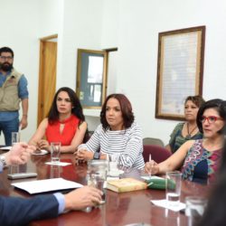 DESIGNAN A ANDREA VILLANUEVA INTEGRANTE DEL OBSERVATORIO DE PARTICIPACIÓN POLÍTICA DE LAS MUJERES