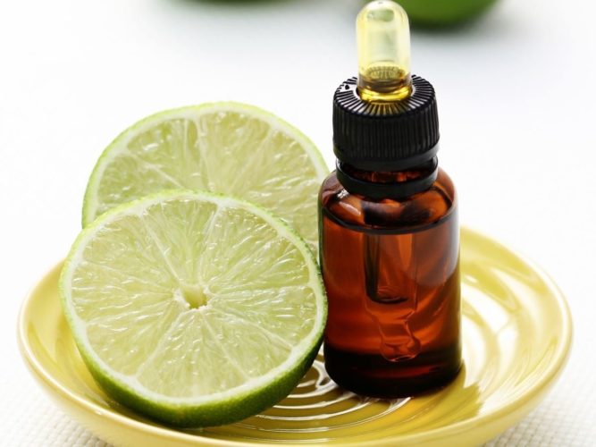 Producirán en Úspero 43 mil litros de aceite de limón: Sedrua