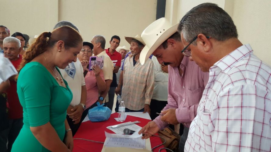 Sin rival al frente, Lupita Hernández es nueva dirigente del MT