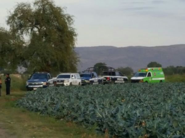 Invierte Sedrua 4.3 mdp al agro en Buenavista