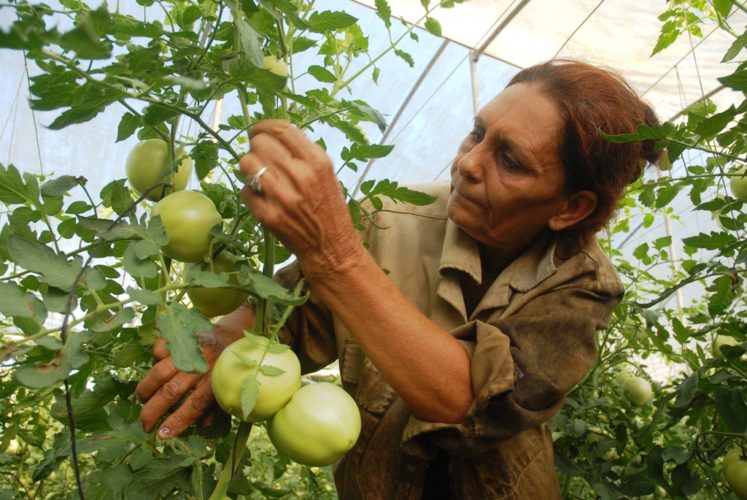 Anuncia Sedrua 200 mdp de Recursos Municipalizados para el campo