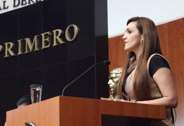El Grupo Parlamentario del PRD en el Senado se asume como la izquierda que transforma.