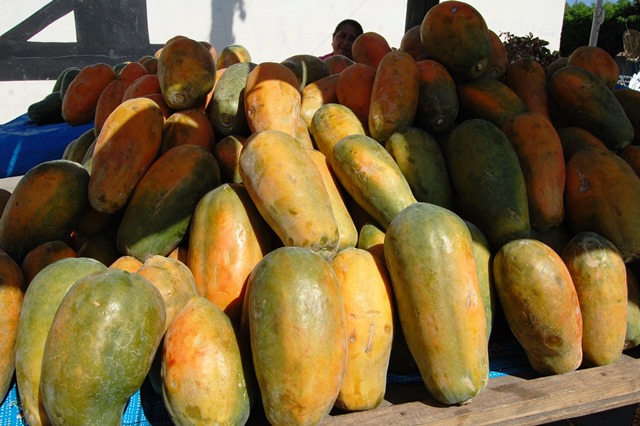 Desploma precio de papaya michoacana acusación de que contiene “salmonela”: GGV