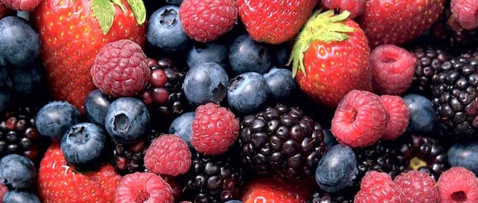 Michoacán, líder nacional en producción de moras: Sedrua