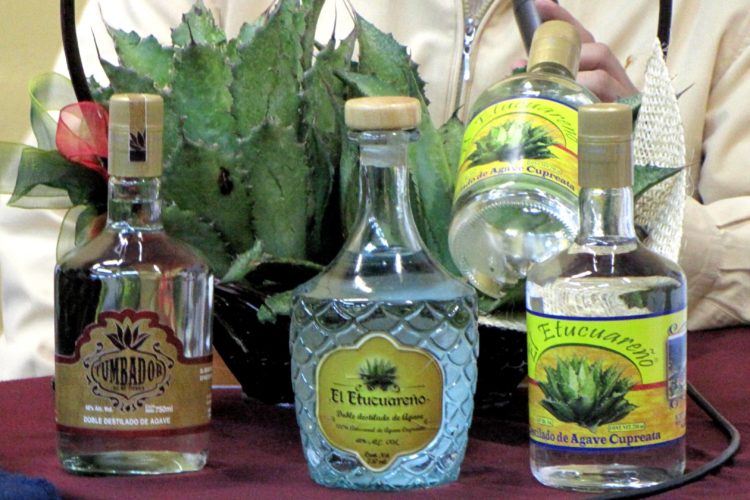 Productores de mezcal, tequila, pulque y ron, listos para Mezcalmanía: Sedrua