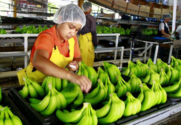 Al agro de Ario de Rosales, 2.4 mdp del programa de Recursos Municipalizados: Sedrua