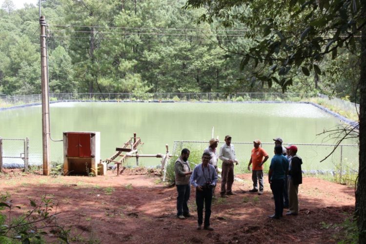 Detectan ProAm y Policía Ambiental pozos y ollas para almacenar agua ilegales en Morelia