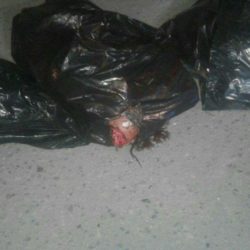 Arrojan en bolsas cuerpo desmembrado