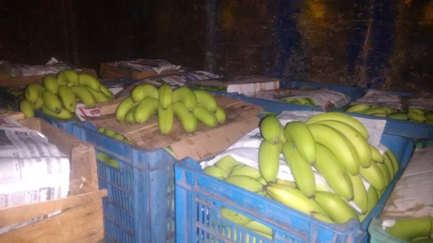 Ligero repunte del precio del plátano