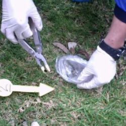 Hallan cadáver cerca de Punta de Agua