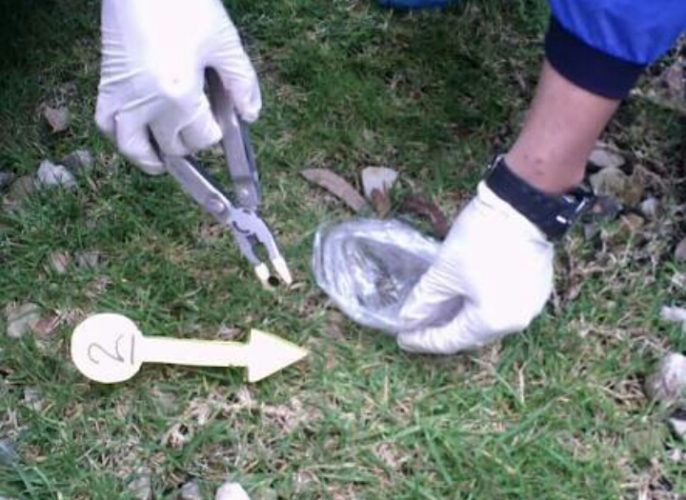 Hallan cadáver cerca de Punta de Agua