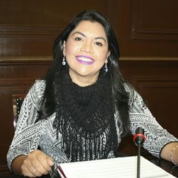 «Con AMLO, todo; con externos, nada seguro»: C.Z.O.