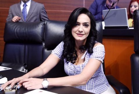 Preside Iris Vianey reunión de Comisión de Desarrollo Social