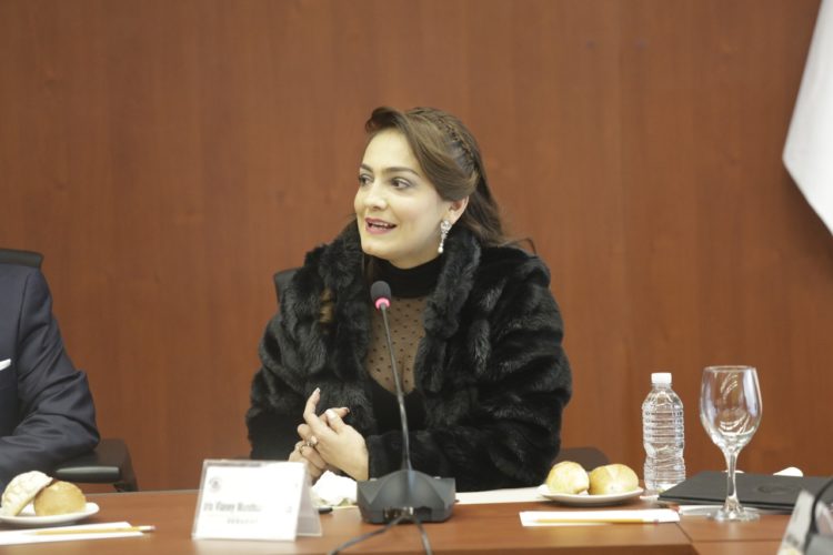 El PRD cuenta con sus Senadores: Iris Vianey