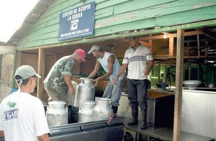 Ignoran ganaderos nivel de equipamiento de Centro de Acopio Lechero