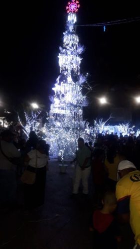 Con el encendido del árbol navideño llega la magia de la Navidad