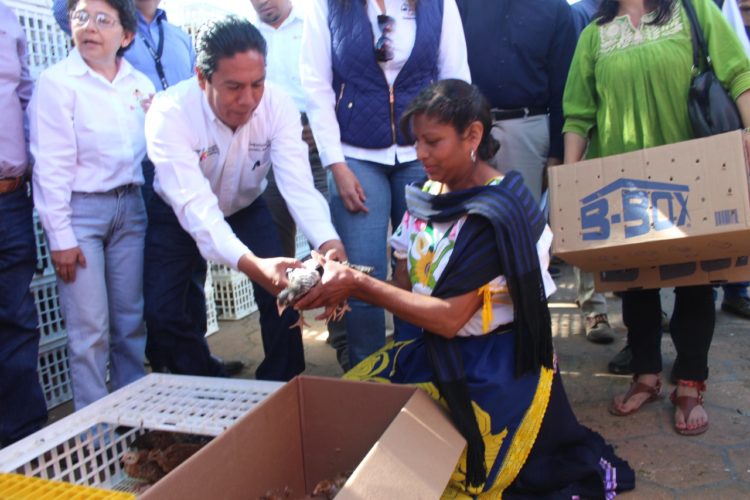 Entrega Sedrua 545 paquetes de Sí Produzco en Pátzcuaro y Tzintzuntzan