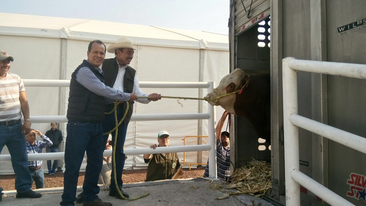 Este sábado, la inauguración de la Expo Fiesta Ganadera: Sedrua