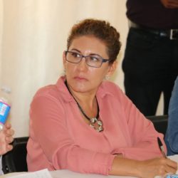 Designa Congreso presidente provisional a Giselle Liera Servín 