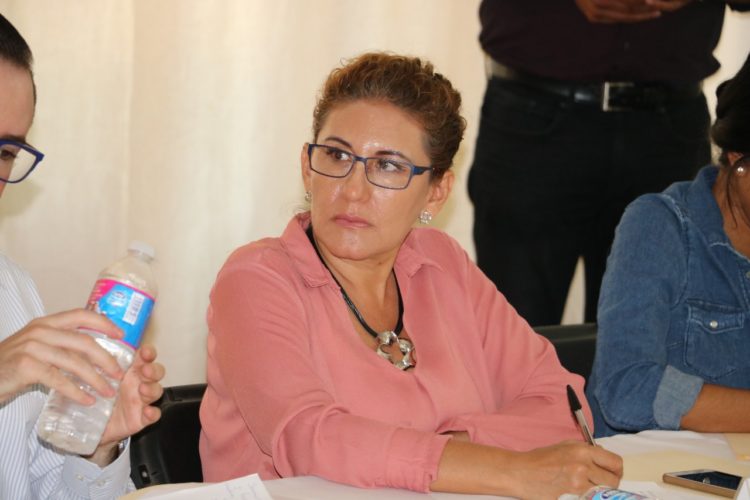 Designa Congreso presidente provisional a Giselle Liera Servín 
