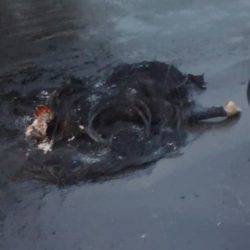 Hallan mujer calcinada