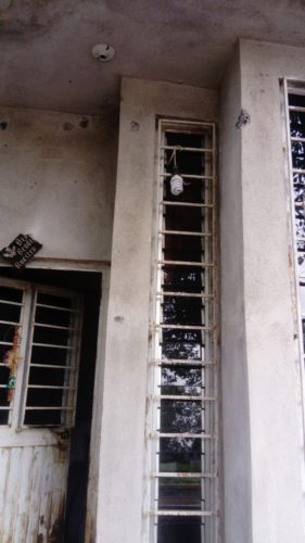 Daños en viviendas deja tiroteo en Antúnez