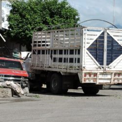 Camión sin frenos mata a uno y aplasta dos vehículos