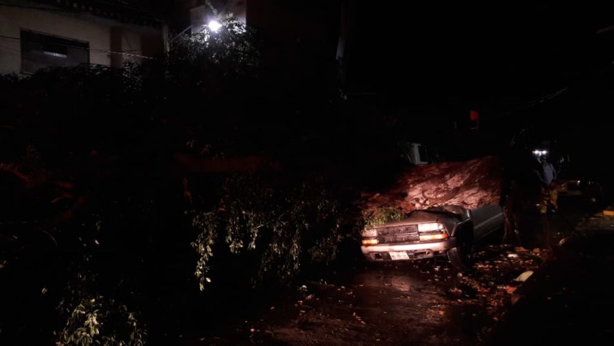 Árbol cae encima de vehículo y ocasiona perdída total