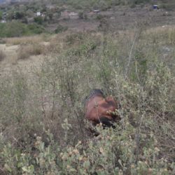 Ejecutan a balazos a un hombre en solitario paraje