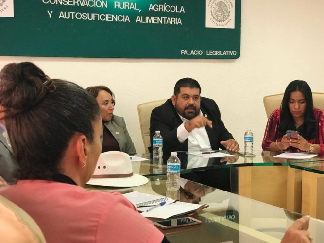 La Cámara actuará en conflicto aguacatero: FHE
