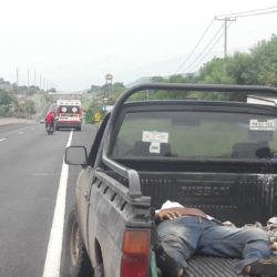 Accidente deja limonero muerto