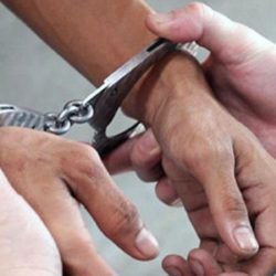 Detienen a incendiario, en Coalcomán