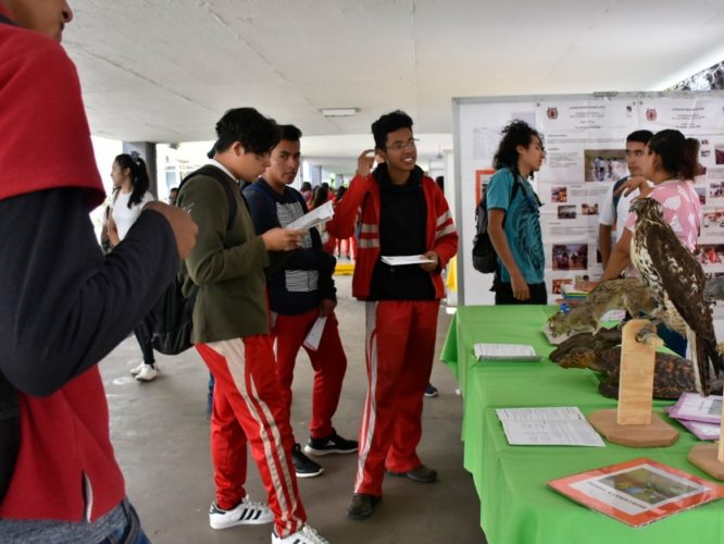 Paro magisterial afectó la organización de SEE- Orienta 2019